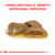 Royal Canin Alimento Húmedo para Gato Renal Feline | Pouch 85gr x 12u - Pet Point