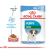 Alimento húmedo para perro Mini Puppy Royal Canin - comprar online