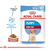 Alimento húmedo para perro Medium Puppy Royal Canin - comprar online