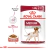 Alimento húmedo para perro Medium Adult Royal Canin - comprar online