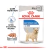Royal Canin Caja Light Weight Care x12 en internet