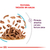 Royal Canin Alimento Húmedo para Gato Sensory Feel | Pouch 85gr - Pet Point