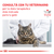Royal Canin Alimento Húmedo para Gato y Perro Recovery Feline & Canine | Lata 195gr x 12u en internet