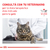 Royal Canin Alimento Húmedo para Gato y Perro Recovery Feline & Canine | 195 gr en internet