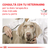 Royal Canin Alimento Húmedo para Gato y Perro Recovery Feline & Canine | Lata 195gr x 12u - Pet Point