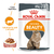 Royal Canin Alimento Húmedo para Gato Hair & Skin | 85 gr x 12u