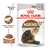 Royal Canin Alimento Húmedo para Gato Ageing 12+ | Pouch 85gr x 12u