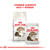 Royal Canin Alimento Húmedo para Gato Ageing 12+ | Pouch 85gr x 12u