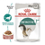 Royal Canin Alimento Húmedo para Gato Instinctive 7+ | Pouch 85gr x 12u