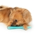 Zeus Duo Stick - Aroma a Pollo - - Pet Point