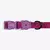 Collar para Perro Lords Of Zee.Town Brain Zee Dog en internet