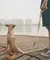 Arnés Laguna H-Harness Zee Dog en internet