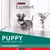 Alimento para perro cachorro razas pequeñas Excellent 3 Kg - comprar online