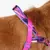 Arnés para perro Softer-Walk Error #500 - Pet Point