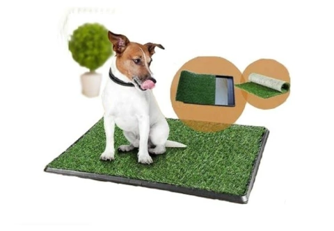 Bandeja sanitaria con pasto sintentico Paño Pet