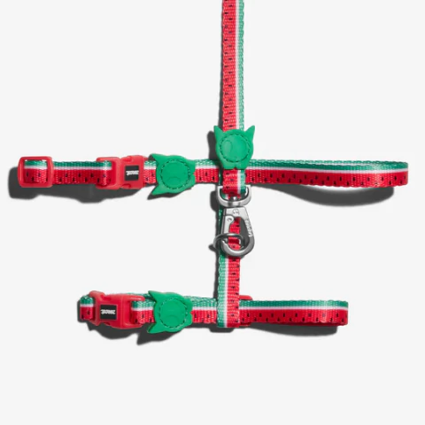 Correa + Pretal para Gato Lola Zee Dog