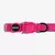 Collar para Gato Pink Zee Dog en internet