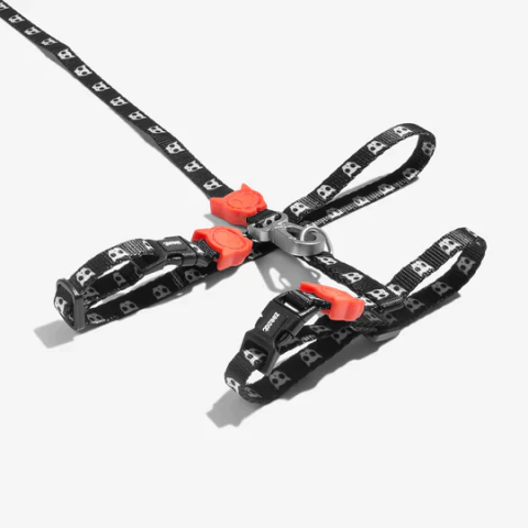 Correa + Pretal para Gato Skull Zee Dog