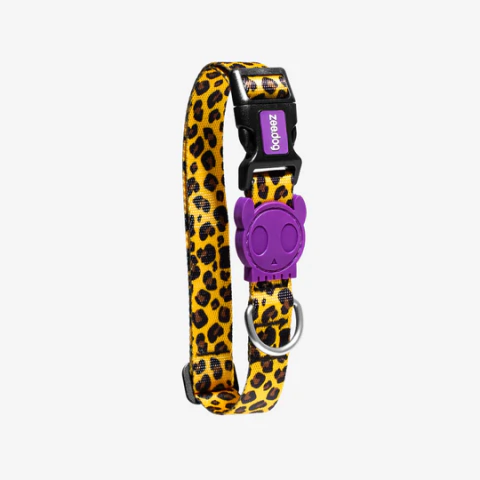 Collar para Perro Honey Zee Dog