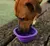 Imagen de Comedero/Bebedero plegable Go BowlPeak Zee Dog