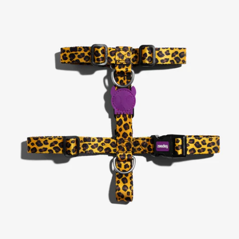 Arnés Honey H-Harness Zee Dog