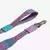 Correo NIT Candy Zee Dog - tienda online