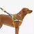 Arnés para perro Softer-Walk Voyage Zee Dog - tienda online