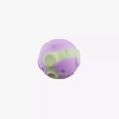 Zee.Pinz Moon