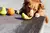 Super Fruitz Pear Zee Dog