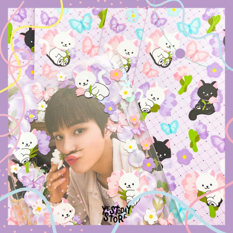 Adesivos - Navillera