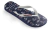 Ojota Havaiana nautical* - MabicShop