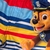 SHORT DE BAÑO PAW PATROL 85046 en internet