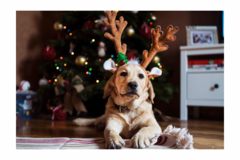Banner de la categoría NAVIDAD Y AÑO NUEVO