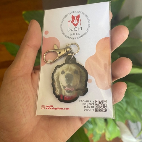 Plaquitas Personalizadas para Perros y Gatos