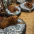 Cama para perro: Puff Circular - DoGift