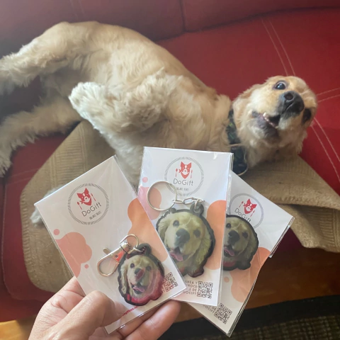 kit Plaquita y llavero personalizados perro y gato