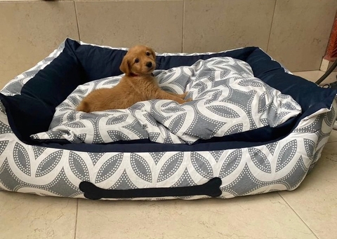 Cama para perro: Modelo Chicago
