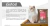 Arena para gatos tipo pellets sustrato madera 10kg