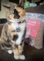 Imagen de Arena para gatos tipo pellets sustrato madera 10kg