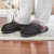 Pantuflas Darwin en internet