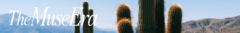 Banner de la categoría Bikinis