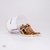 Aliche - comprar online