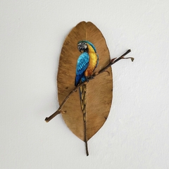 Arara-canindé | moldura 23x23cm