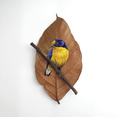 Gaturamo-verdadeiro | moldura 18x18cm