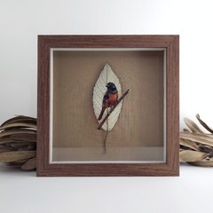 Curió | moldura 23x23cm - buy online