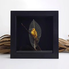 Canário-da-terra | moldura 18x18cm preta na internet