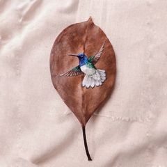White-necked Jacobin | White Frame 24x24 cm - buy online