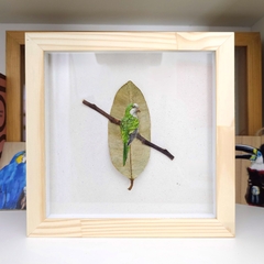 Monk Parakeet | Natural frame 23x23 cm - buy online