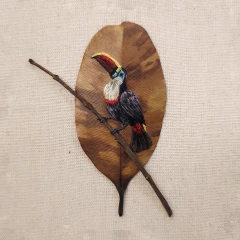 Tucano-de-papo-branco | moldura 18x18cm - comprar online