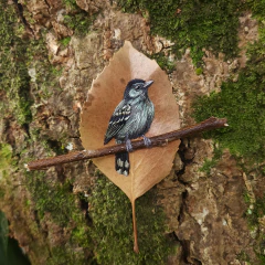 Choca-da-mata | moldura 18x18cm preta - comprar online